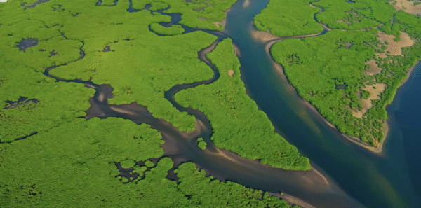 Soberania à venda? O ambientalismo Eurocêntrico e a cobiça sobre a Amazônia